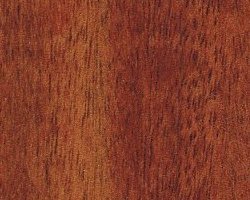 African Mahogany for sale