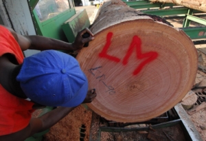 African Sawn Lumber for sale